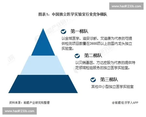淬炼八年:中国各梯队外战的财富密码 淬炼八年:中国各梯队外战的财富密码