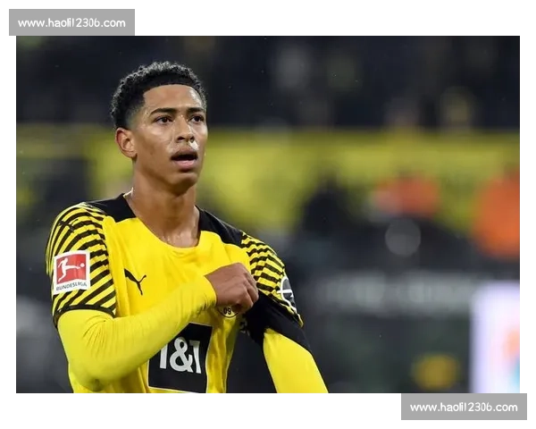 毕包再因球迷口号被罚 累计金额已达 11 万欧元 毕包再因球迷口号被罚 累计金额已达 11 万欧元