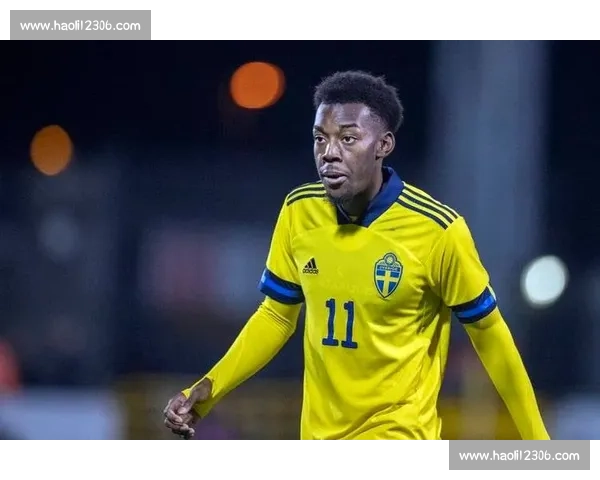 埃兰加怒轰体系：瑞典足球的低谷怒吼